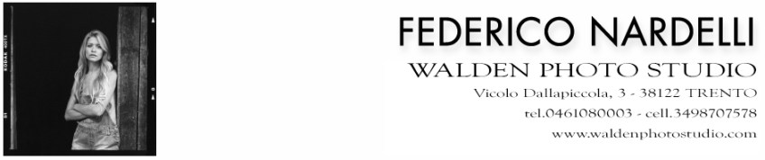 banner walden photo studio